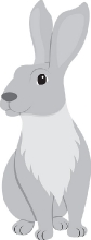 long eared rabbit animal gray clipart 618