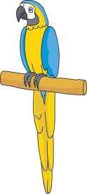 macaw parrot on branch clipart