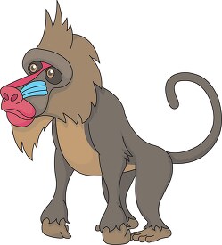 mandrill baboon on all four legs