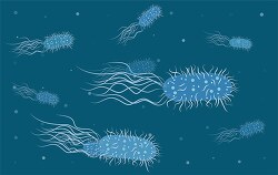 many bacteria with flagella and pili vector clipart