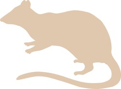 marsupial spotted tailed native cat silhouette clipart