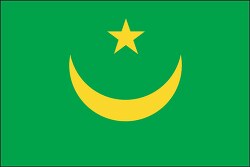 Mauritania flag flat design clipart