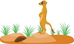 meerkat in standing on a rocky mound clipart
