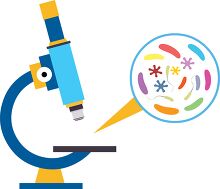 microscope with bacteria clipart
