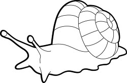 mollusks giant land snail outline cliprt