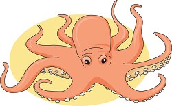 mollusks giant octopus 730