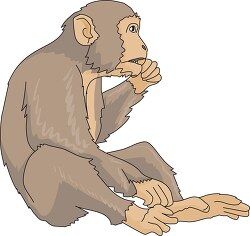 monkey eating clipart