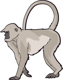 monkey gray ashian clipart