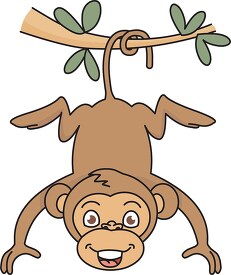 monkey hanging from tree