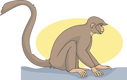 monkey sitting 01A