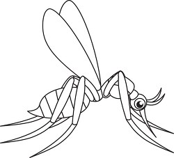 mosquito insects black white outline cliprt