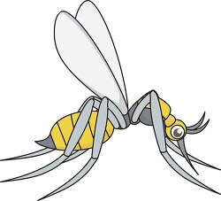 mosquito insects cartoon clipart