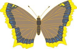 mourning cloak butterfy clipart