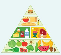new diet pyramid comparison food chart clipart 2