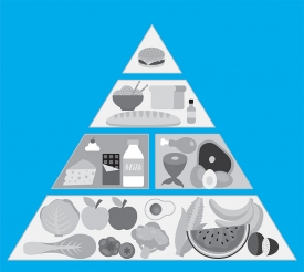new diet pyramid comparison food chart gray color 2