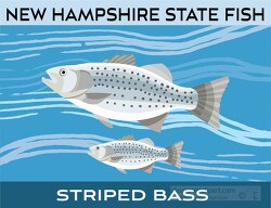new hampshire state fish striped bass clipart image