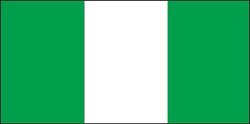 Nigeria flag flat design clipart