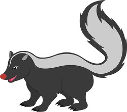 nocturnal carnivore skunk clipart 2