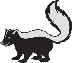 nocturnal carnivore skunk gray clipart 2
