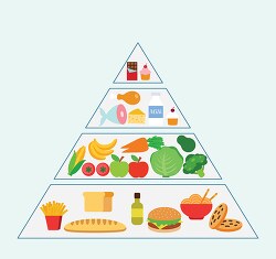old food pyramid 3