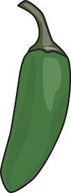 one green jalapeno pepper clipart