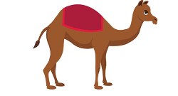 one hump ungulate camel clipart