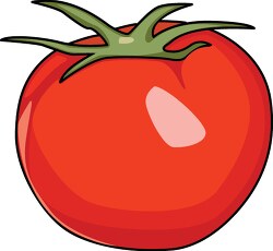 one red ripe tomatoe clipart