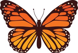 orange black butterfly clipart