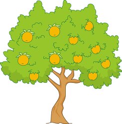 orange tree clipart