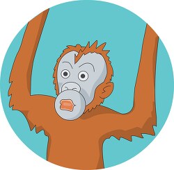 orangutan animal clipart image