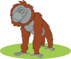 orangutan borneo clipart
