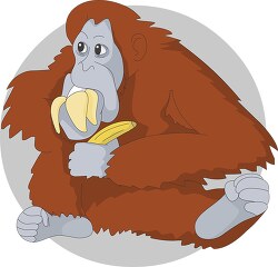 orangutan siitting eating a banana