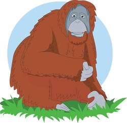orangutan sitting in grass clipart image