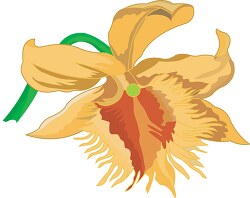 orchid flower clipart 6