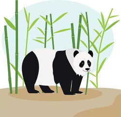 panda bear standing near bamboo trees clipart