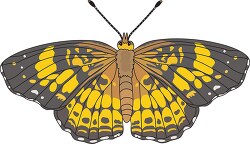 pearl crescent butterfly clipart