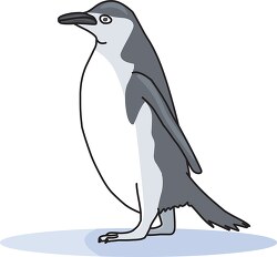 penguin clipart 3