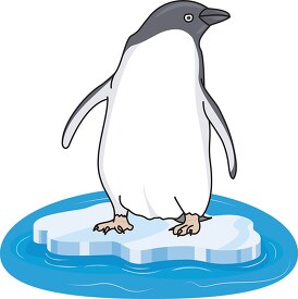 penguin clipart 4