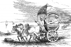 A carriage for hire in Sri Lanka