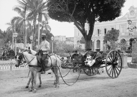A Cuban volanta 1904