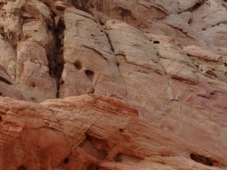A sandstone formation in the Valley of Fire Nevada State Park Photo