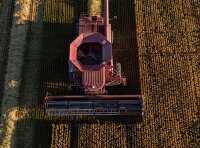 Aerial view of combine harvester in wheat fields