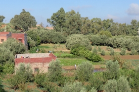 agricultural area morroco