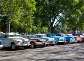 American vintage cars line up near the Havana