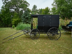 Amish family wagons