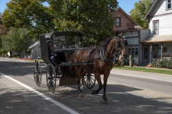 An Amish horse buggy and riders roll through Winesburg Ohio