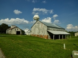Barns in Aman in Iowa