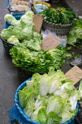 Basekts Of Chinese Cabbage Lettuce Photo Image
