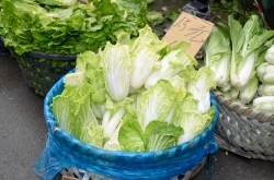 Basekts Of Chinese Cabbage Photo Image 5