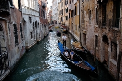 bGondolas long the Grand Canal Venice Italy 8458